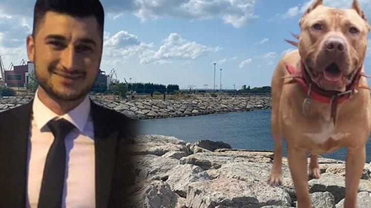 'Denizde saldıran pitbull öldürdü' iddiasına takipsizlik kararı