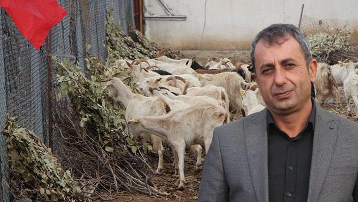Gabar Dağı eteğinde devlet desteğiyle keçi çiftliği kurdu