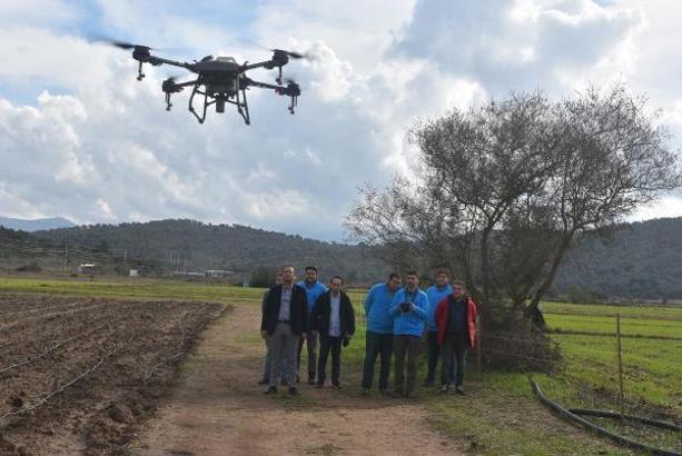 Bodrum'da 50 hektar alan dronla ilaçlandı