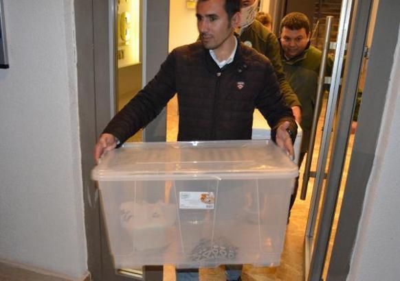 Aksaray'da 1 kraliyet pitonu ile 10 sakallı ejder ele geçirildi