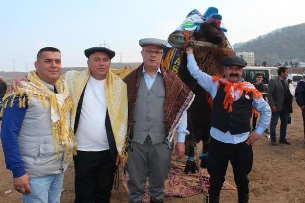 Alaşehir'de deve güreşleri ilgi gördü