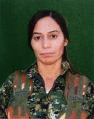 MİT, PKK/YPG'nin sözde eyalet sorumlusunu etkisiz hale getirdi