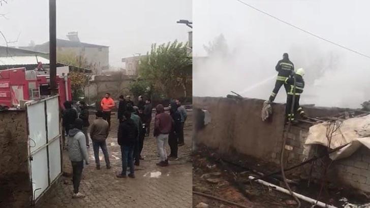 Diyarbakır'da ahır yangını; 22 hayvan öldü