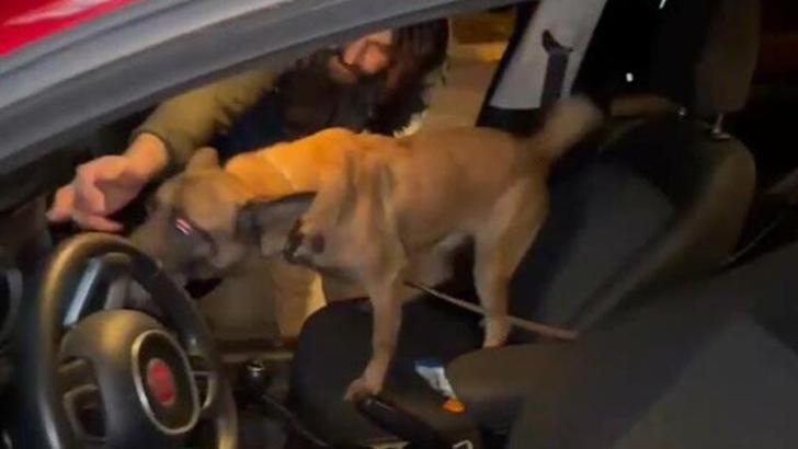 Otomobildeki 1 kilo metamfetamini 'Layka' buldu