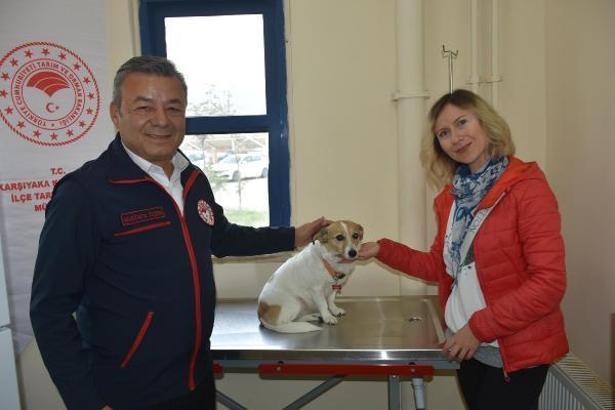 İzmir'de 66 bin 131 can dost kayıt altına alındı