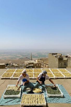 TBMM Dilekçe Komisyonu, Mardin'de Topraktan Tabağa Tarımsal Kalkınma Kooperatifi'ni inceledi