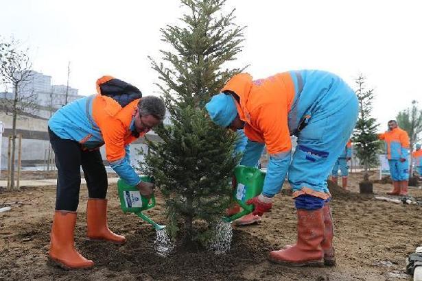 Başakşehir'de yeşil alan miktarı 11 milyon metrekareyi geçti