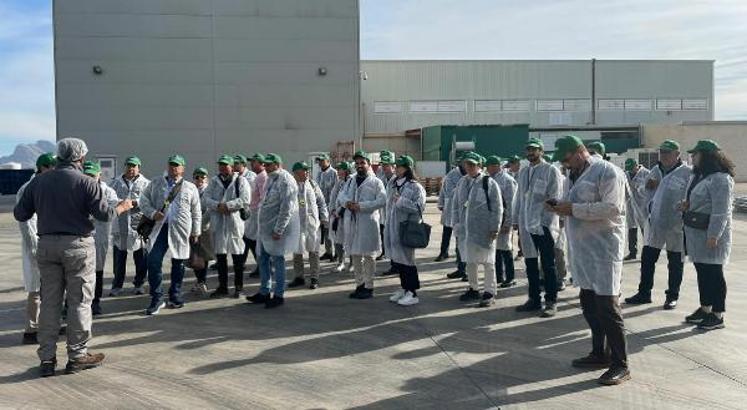 Zeytin zeytinyağı sektörü 2022/23 sezonunu değerlendirecek