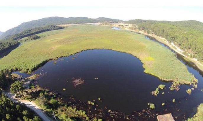 Buldan'da 21 bin yıl öncesine ait fosil zeytin polenlerine rastlandı