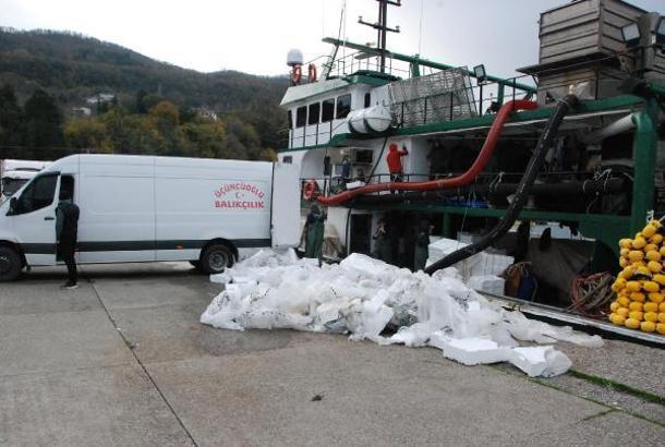 Amasra açıklarına ağ atan balıkçılar, 375 ton hamsiyle döndü