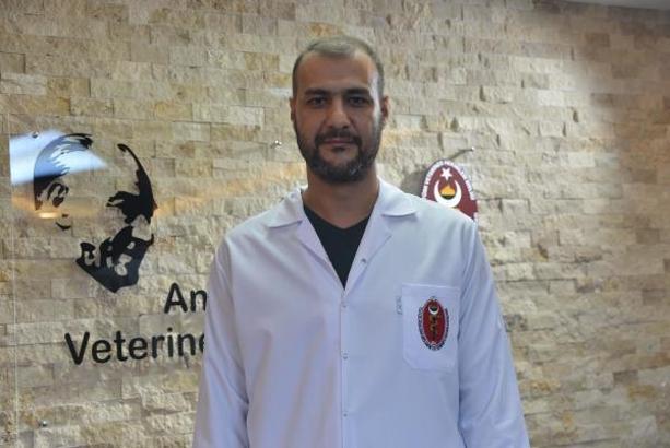 Mikroçip bitti, veterinerler süre uzatımı istedi