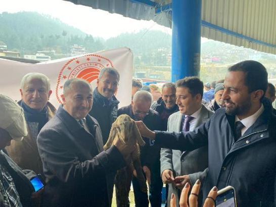 Hatay’da 42 aileye 882 hayvan hibe edildi