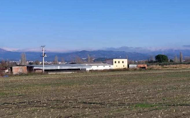 Çiftlik evindeki işkence ve cinsel saldırıda, genç kıza 'baltalı işkence' yapan şüpheli tutuklandı