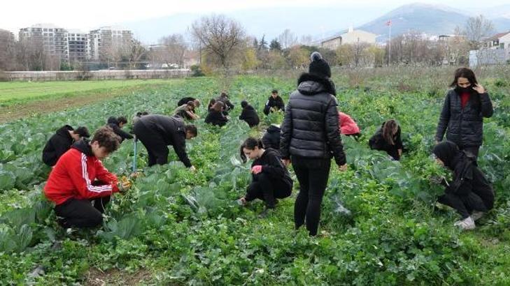 Fabrika gibi okul; 2023 ciro hedefi 10 milyon lira