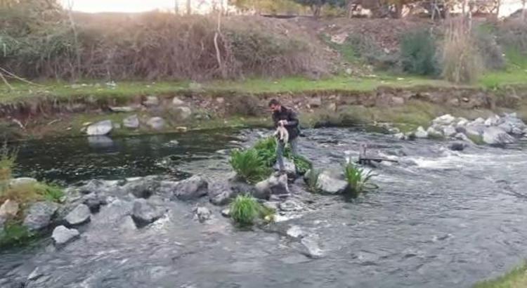 Dere yatağında mahsur kalan yavru köpek kurtarıldı