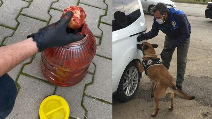 Salça bidonundaki uyuşturucuyu 'Hera' buldu