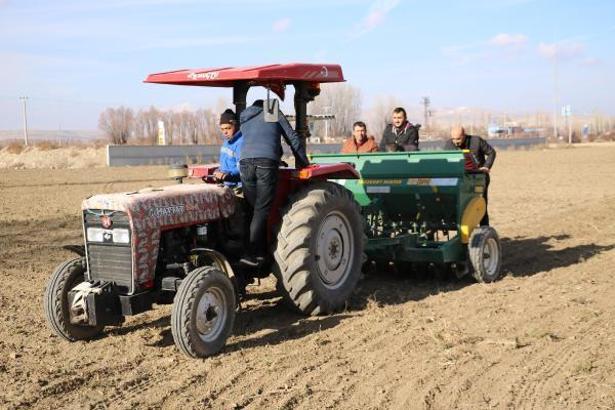 Afyonkarahisar, Türkiye'nin tıbbi papatya üretim üssü olacak