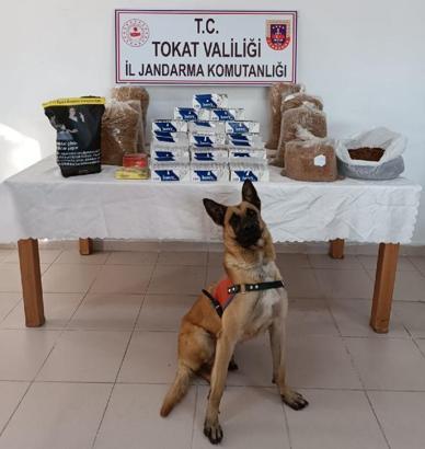 Almus'ta kaçak sigara operasyonu