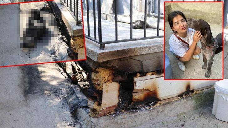 Paşa'yı kulübesinde diri diri yaktılar