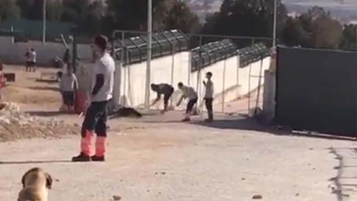 KöpeÄŸin kürekle öldürülmesinde 2 sanığın tahliyesine itiraz, reddedildi