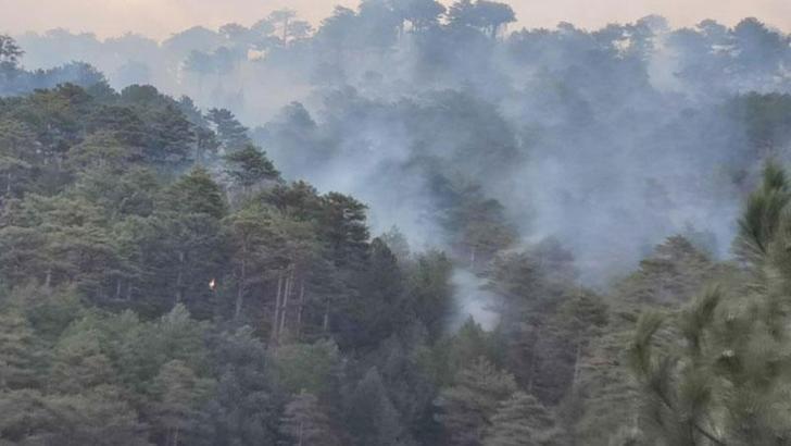 Denizli'deki orman yangınında 5 hektar alan zarar gördü