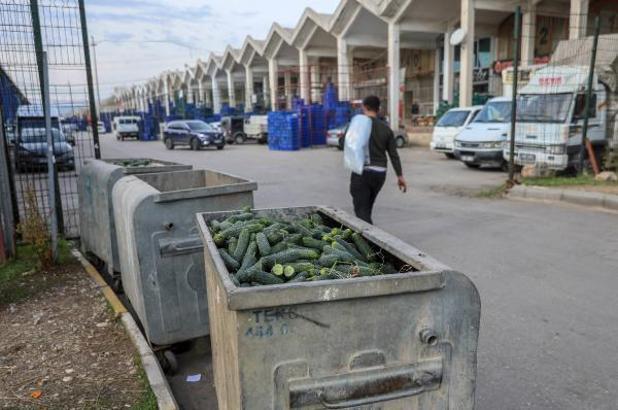 Dikenli salatalık, 'tüketimi yok' diye çöpe atılmış