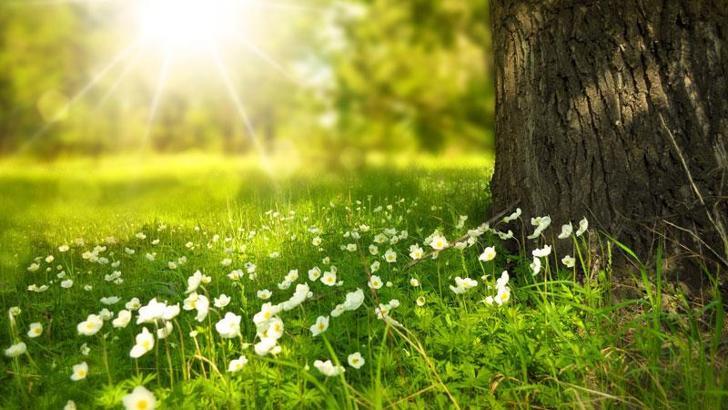 Yeşil alan gezileri psikolojik rahatsızlıklarda ilaç kullanımını azaltıyor