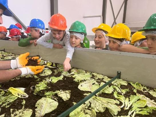 Zeytinburnu'nda 1 milyon solucandan 1 ton gübre elde edildi (Yeniden)