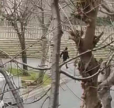 Ek fotoğraflar // Sancaktepe'de yolda yürüyen eşine peş peşe ateş ederek yaraladı