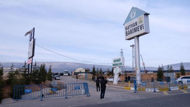 Kürekle köpeği öldüren sanıklara verilen karara 'Suça meyilli kişiliğe sahip değiller' gerekçesi