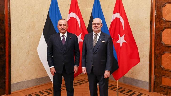 Bakan Çavuşoğlu, Estonya Cumhurbaşkanı Karis ile görüştü