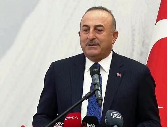 Bakan Çavuşoğlu: Norveç verdiği izni iptal etti