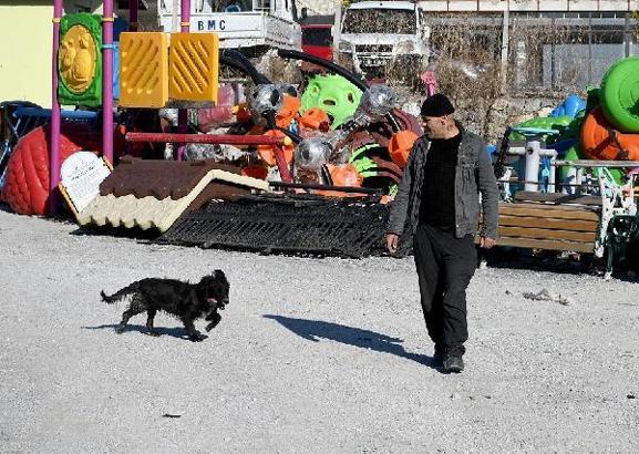 Felçli köpek 'Karam', ilgi ve sevgiyle yeniden yürümeye başladı