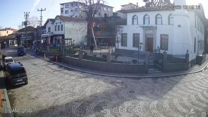 Budamak için çıktığı ağaçtan düşüp öldü