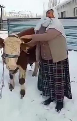 1983 Erzurum depremini yaşadı, boğasını satıp depremzedeler için bağışladı
