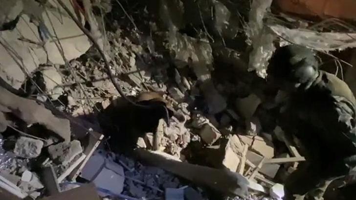 MSB: Arama- kurtarma köpeği, canlı olduğu düşünülen bir vatandaşımızın yerini tespit etti