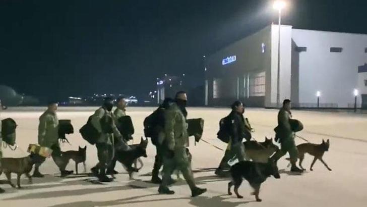 Arama kurtarma köpekleri nasıl eğitiliyor