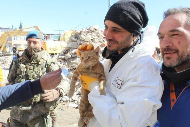 Enkazdan çıkardıkları kediye 'AFAD' adını verdiler