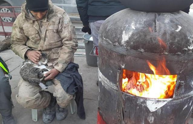 Enkazdan çıkan kediye jandarma şefkati