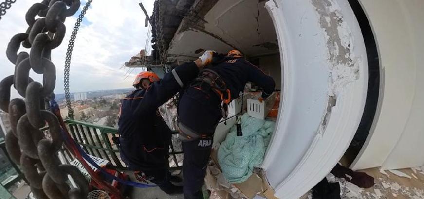 Cat rescue operation in Diyarbakır: 7 cats have been rescued