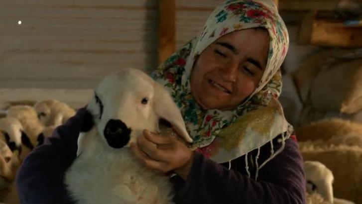 Borçla aldıkları evleri yıkılınca, ahırı ev yaptılar