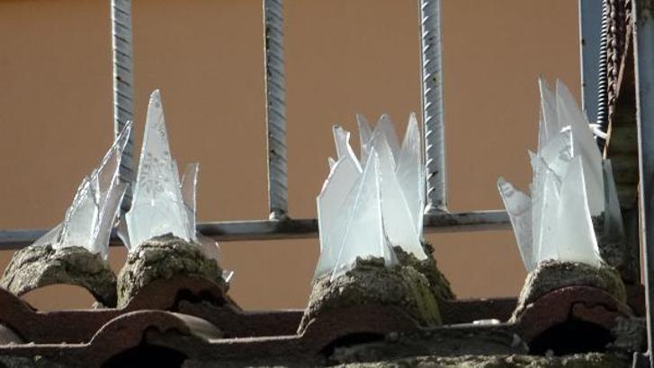 Kilise duvarında kedilere ‘cam kırıklı engel’