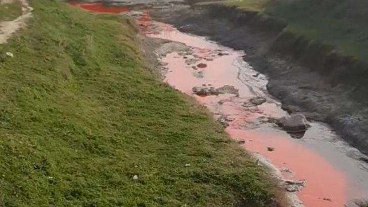 Mersin'de kimyasal atık bırakılan dere, kırmızı akmaya başladı