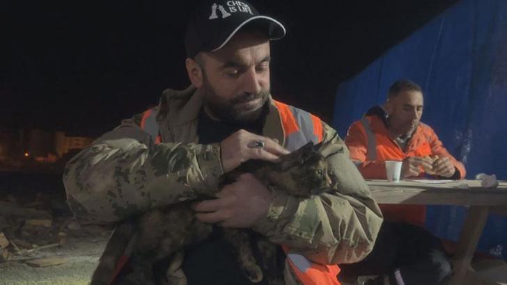 Afşin'de enkazdan kurtarılan kedi, Çorum'da yeni yuvasında