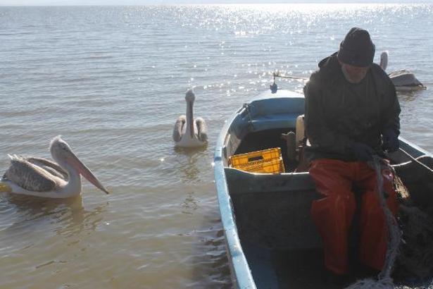 Manyas Gölü’nde av yasağı başlıyor