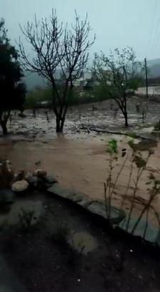 Siirt'te sağanak; bağ ve bahçeler suyla doldu