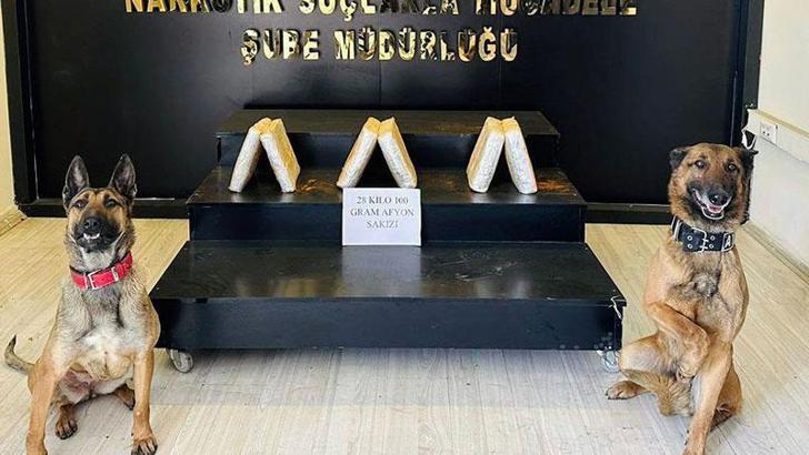 Araçtaki uyuşturucuyu narkotik köpekleri 'Ayzek' ve 'Bella' buldu