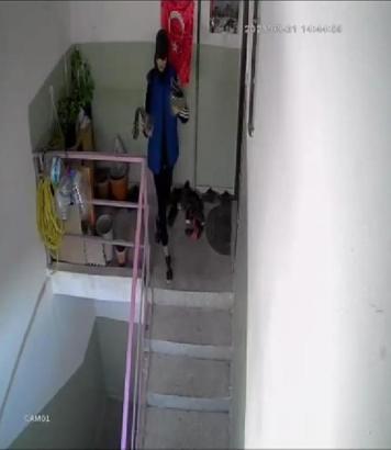 Ankara'da girdiği apartmandan ayakkabı çalan hırsız, kameralara yakalandı