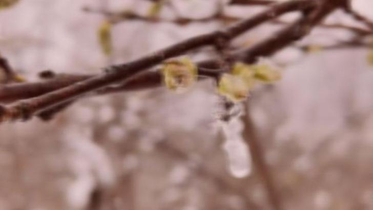 Ankara Valiliği'nden 'zirai don ve buzlanma' uyarısı