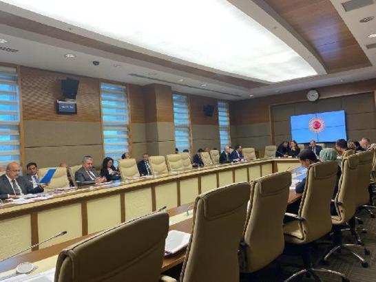 BTK Başkanı Karagözoğlu: Asıl problem elektrik kesintisi, akaryakıt ve hava koşullarıydı